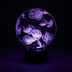 新品くらげ アクリルLEDライトの画像