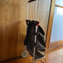 軽量 キャリーバッグの画像