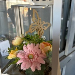 鉄籠の中花