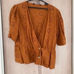 ZARAトップス☆珍しい色味