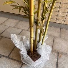竹　造花　オブジェ　インテリアの画像
