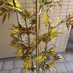 竹　造花　オブジェ　インテリアの画像