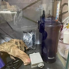 水槽セットの画像