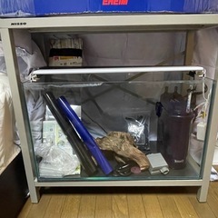 水槽セットの画像