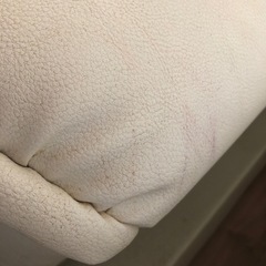 ソファベッドの画像