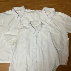 中学生　女子　半袖ブラウス