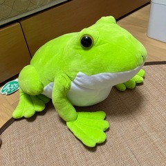 ぴょこんとアマガエル　大きなぬいぐるみ