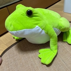 ぴょこんとアマガエル　大きなぬいぐるみの画像