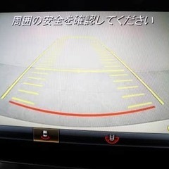 😎CLAの登場です😎の画像