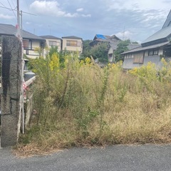 草刈り正雄