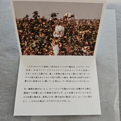 お値下げしました！新品、未使用木箱入りの今治タオルセットの画像