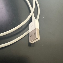 USB-A to Lightningケーブルの画像