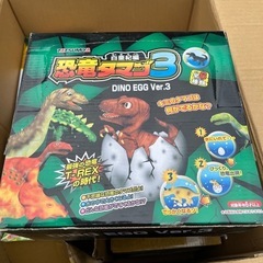 大幅値段！恐竜のタマゴ3 箱売り　12個入りの画像