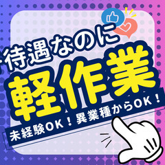 🌟埼玉県加須市🌟カンタン仕分け作業🌟重量物なし🌟MHsi01