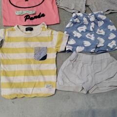 80センチ 男の子 夏の画像