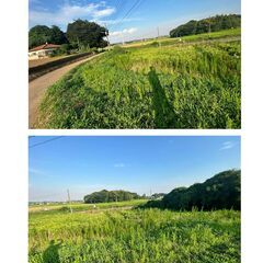 草刈り依頼【草刈り機をお持ちの方】