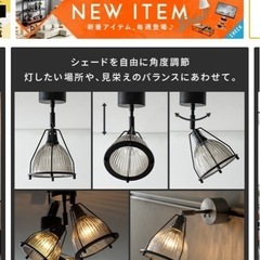 照明　(エアリゾーム)の画像