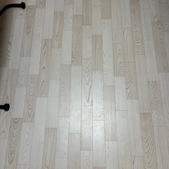 ニトリ　木目調フロアラグ　2枚