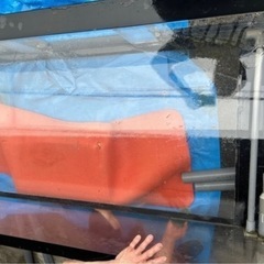 水槽の画像