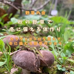 野草の会〜秋の野草で冬に備える身体作り〜