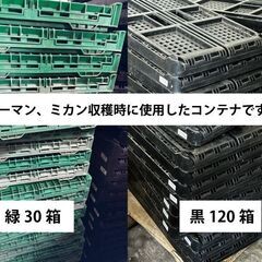 折りコン（折りたたみ式コンテナ）の画像