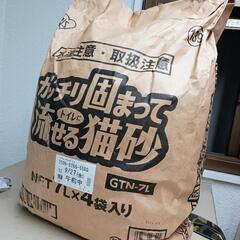 ❣値下げします❣購入から一ヶ月未満❣猫ちゃん、家族にする、の、一...