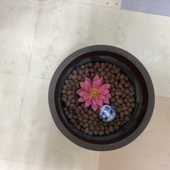 銅製の火鉢です