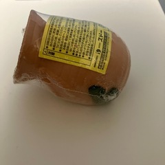タコツボミニ（水槽の中の隠れ家）未開封の画像