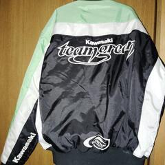 team グリーン   Kawasakiの画像