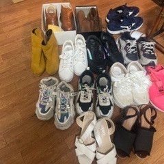 24/24.5しいぜの画像