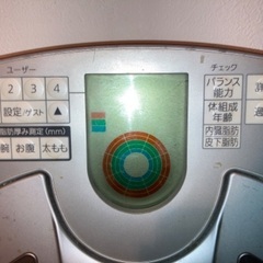 高性能体重計　National EW-FA70の画像