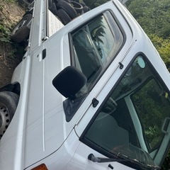 スズキの画像