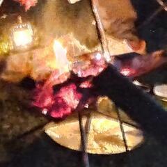 とにかく焚き火がしたい🔥 - 豊田市
