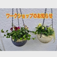 吊りバスケットの寄せ植えワークショップ