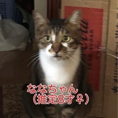 助けてください