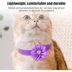 猫ちゃんフラワー首輪（新品）パープルの画像