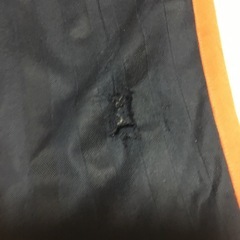 男の子半ズボン２の画像