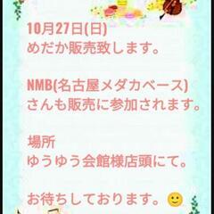 10月27日(日)めだかや一休＆名古屋メダカベース合同めだ…