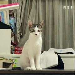 4ヶ月の女の子