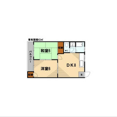 【🌙入居費用16万円🌙】✨審査No.1✨ 🔥東急東横線 菊名 徒...