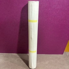壁紙　サンゲツ アウトレット品　レア廃盤品 SP2830  15...