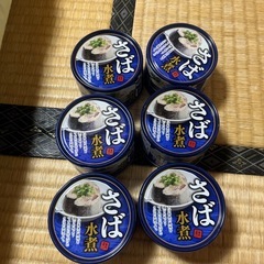 さば水煮6個