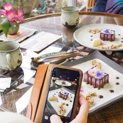 【週一からOK！】日本庭園のある武家屋敷カフェ！ヴィーガンカフェとチョコレートショップでスタッフ募集中の画像