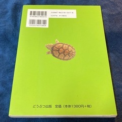 明日午前まで限定特価です!!絶版本で人気の貴重な本です!!ニオイガメ、ドロガメの医・食・住 の画像