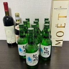 モエシャンドン　チャミスル　　赤ワイン🍷セット