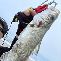 釣り仲間募集！サーフ🎣シーバス🎣ロックやる方 − 宮城県
