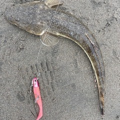 釣り仲間募集！サーフ🎣シーバス🎣ロックやる方 - メンバー募集