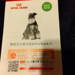 ROYAL CANIN 膀胱炎 結石症  試供品の画像