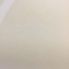 値下げしました。トゥルースリーパー🧸の画像