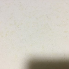 値下げしました。トゥルースリーパー🧸の画像